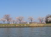 10年後が楽しみです。